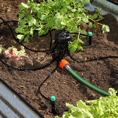 Pope 4mm Black 6 Port Manifold