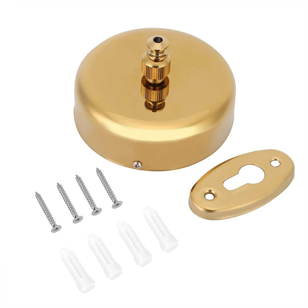 Dolphy gold retractable clothesline with its wall plate, screws and wall plugs