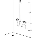 Dolphy offset grab rail installation drawing: 1100 mm vertical rail, 700 mm horizontal