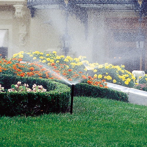 Toro 570Z 2" Pop Up Sprinkler VAN