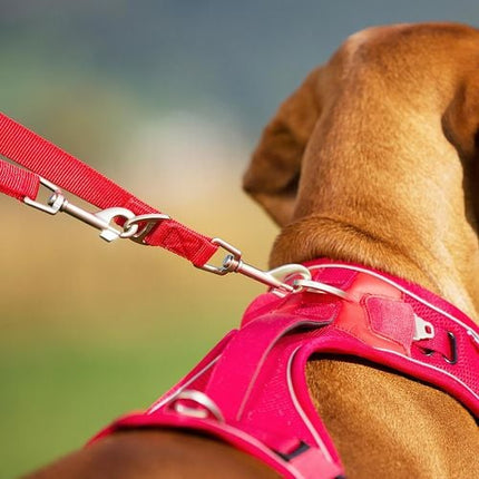 Curli 200 x 2cm Large Red Dog Nylon Adjustable Leash