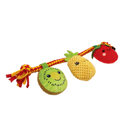 Baxter Bone Summer Fruits On A Rope Pet Toy