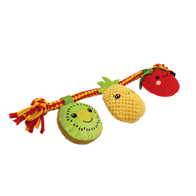 Baxter Bone Summer Fruits On A Rope Pet Toy