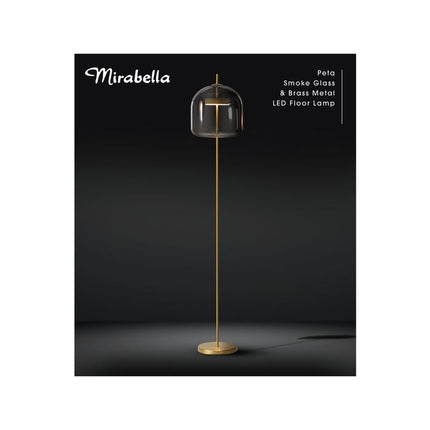 Mirabella Peta Smoke Glass LED Floor Lamp