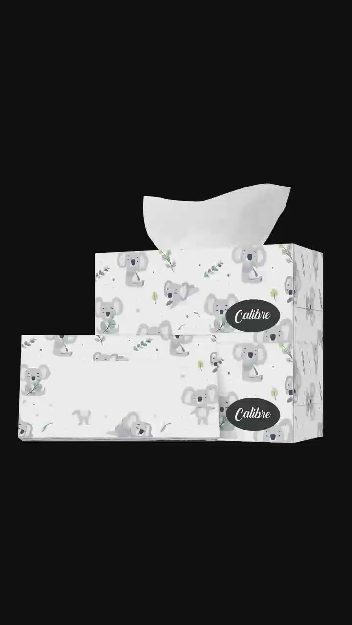 Dolphy Facial Tissues 2-Ply (180 Sheets per Box, Pack of 36) – Soft, Highly Absorbent White Tissues for Home, Office & High-Traffic Areas Bulk Supply